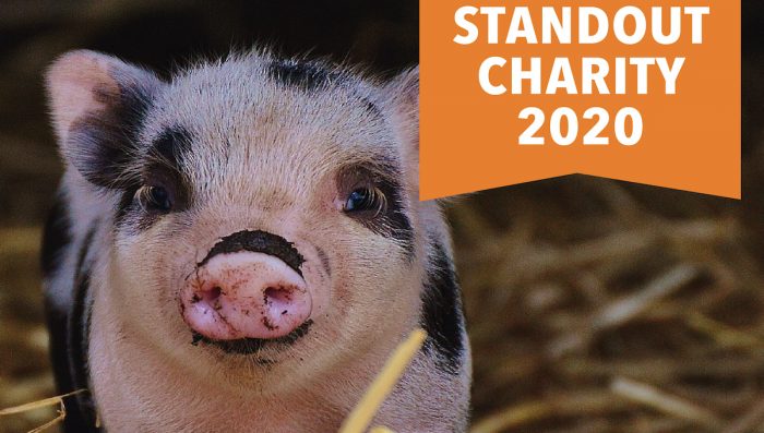 Premian a las mejores organizaciones animalistas del mundo Premian a las mejores organizaciones animalistas del mundo