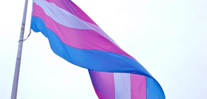 Corte Suprema ordena a Isapre Colmena dar cobertura a cirugía de readecuación corporal a mujer trans Corte Suprema ordena a Isapre Colmena dar cobertura a cirugía de readecuación corporal a mujer trans