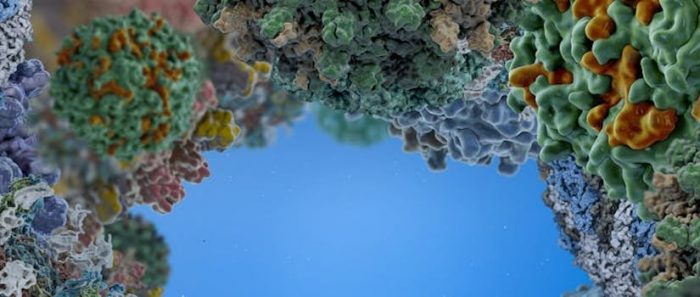 ¿Son los virus un desafío científico insuperable? ¿Son los virus un desafío científico insuperable?