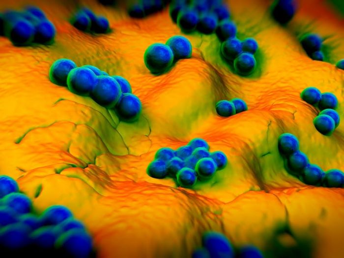 Superbacterias: un peligro real, presente y futuro
