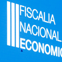 El problema de la FNE