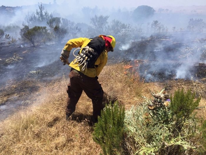 Pumanque: la resiliencia del territorio post-incendios y la innovación para recuperarse Pumanque: la resiliencia del territorio post-incendios y la innovación para recuperarse