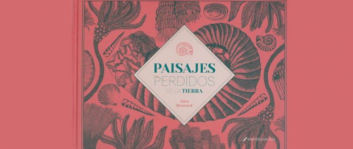 Libro enseña las etapas de formación de la Tierra con imágenes en el estilo de la ilustración científica del siglo XIX Libro enseña las etapas de formación de la Tierra con imágenes en el estilo de la ilustración científica del siglo XIX