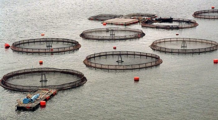 El compromiso de la pesca en tiempos de crisis El compromiso de la pesca en tiempos de crisis