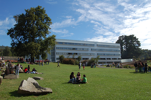 Centro de políticas públicas de la UC Temuco Centro de políticas públicas de la UC Temuco