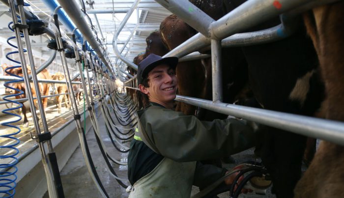 Sinergias y oportunidades en el sector lechero Sinergias y oportunidades en el sector lechero