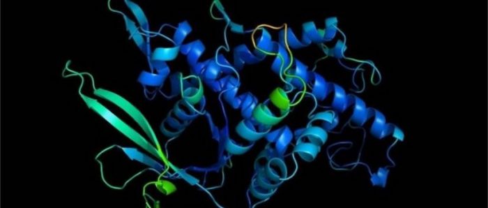 Científicos resuelven uno de los grandes misterios de la biología «casi al completo» Científicos resuelven uno de los grandes misterios de la biología «casi al completo»