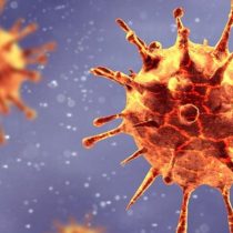 Mutación del coronavirus: qué tan preocupante es la aparición de una nueva cepa como la detectada en Reino Unido