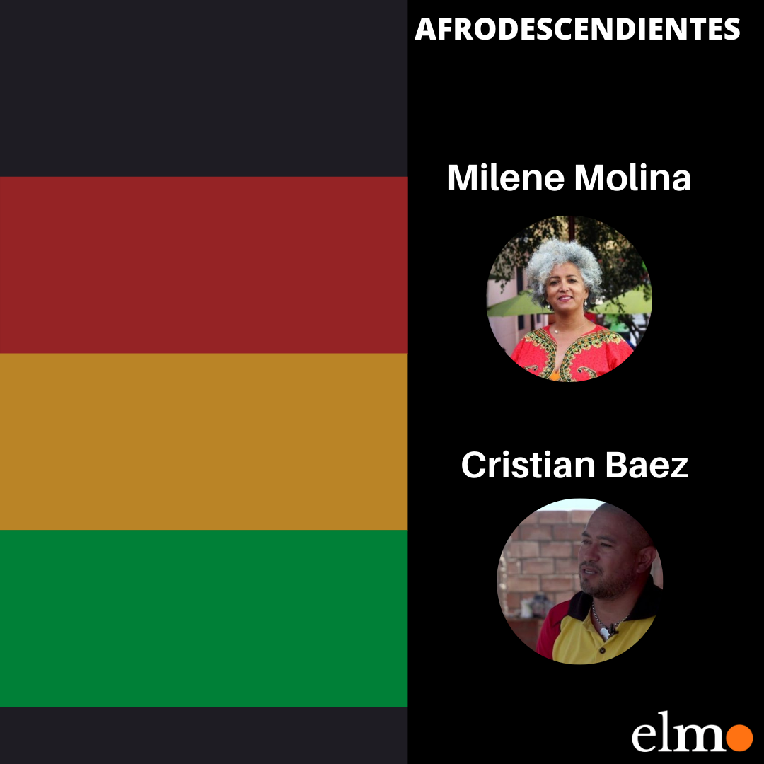 AFRODESCENDIENTES.png