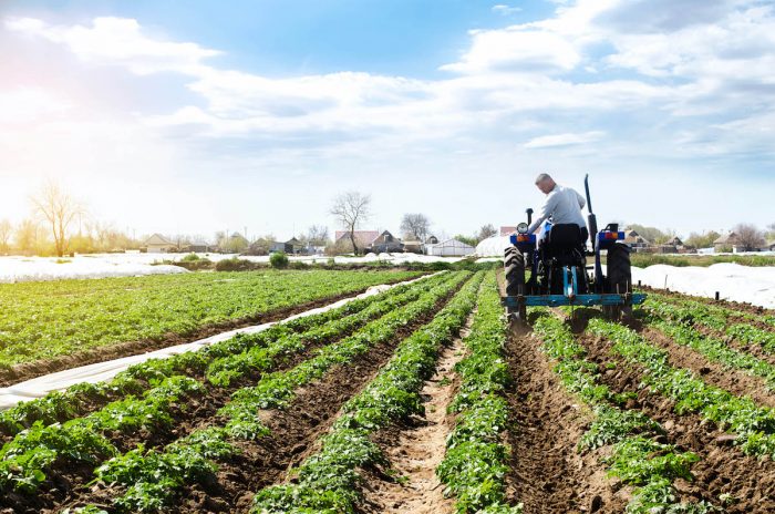 Oportunidades de cambio en la institucionalidad exportadora agroalimentaria Oportunidades de cambio en la institucionalidad exportadora agroalimentaria