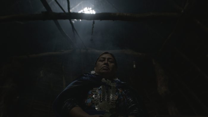 Película chilena «Dominio vigente» tendrá su estreno mundial en Alemania Película chilena «Dominio vigente» tendrá su estreno mundial en Alemania