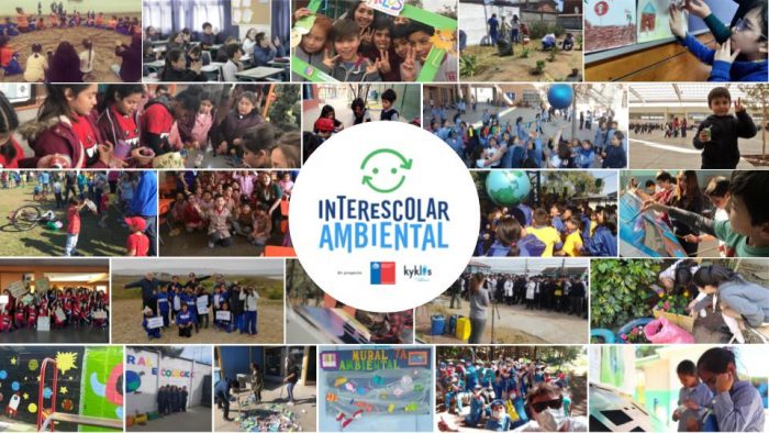 Interescolar Ambiental: la app que enseña a cuidar el medioambiente y conecta a colegios durante la pandemia