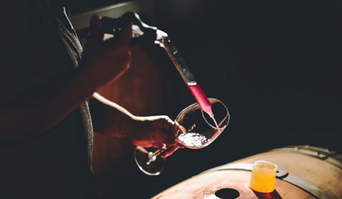 Innovación permitirá detectar la huella genética de los vinos chilenos Innovación permitirá detectar la huella genética de los vinos chilenos