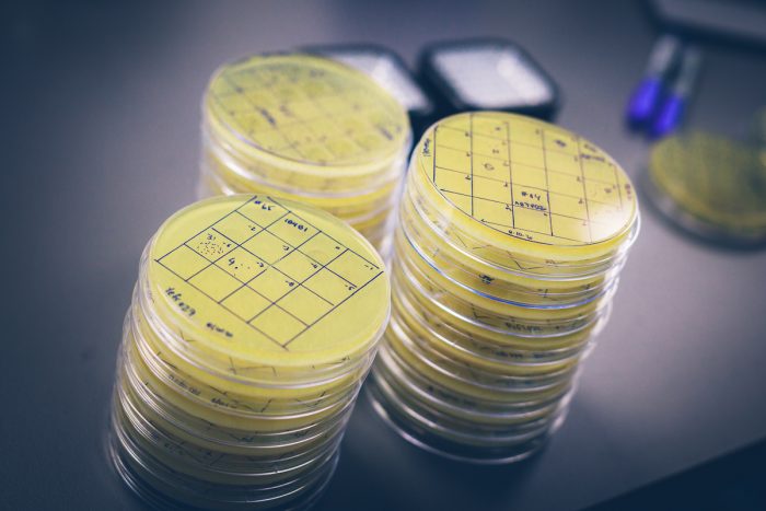Innovadoras propuestas para reducir el uso de antibióticos en animales Innovadoras propuestas para reducir el uso de antibióticos en animales