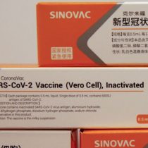 Director de Cenabast cree que vacuna de Sinovac contra el covid-19 podría llegar a Chile a mediados de enero