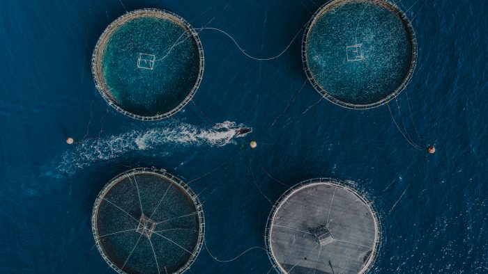 «e-ENEXPRO 2021” reunirá a principales representantes de industrias creativas de Chile y el mundo «e-ENEXPRO 2021” reunirá a principales representantes de industrias creativas de Chile y el mundo