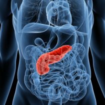Advierten sobre aumento en la incidencia y mortalidad por cáncer de páncreas en Chile y el mundo