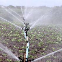 Devoluciones regenerativas de agua dulce al medio ambiente desde la agricultura