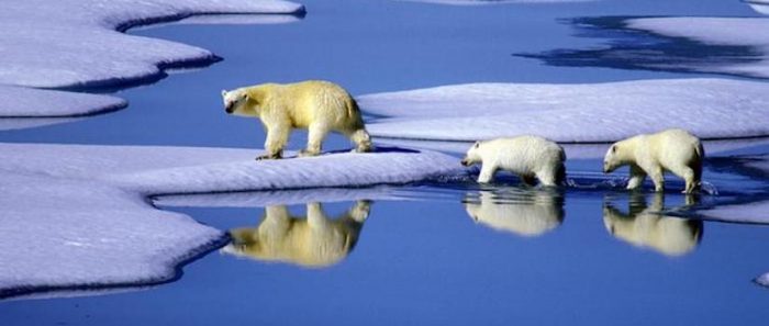 Estudio asegura que la desaparición mundial del hielo se está acelerando Estudio asegura que la desaparición mundial del hielo se está acelerando