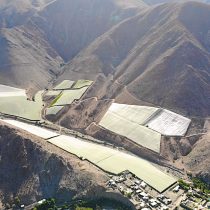 Innovadoras mallas sombreadoras en el norte de Chile disminuyen hasta en 25% el requerimiento de agua