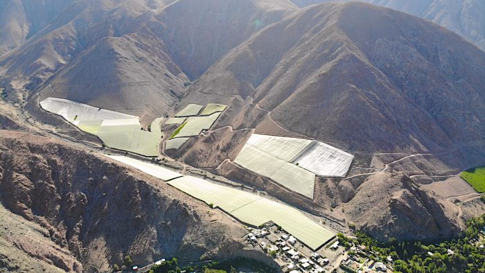 Innovadoras mallas sombreadoras en el norte de Chile disminuyen hasta en 25% el requerimiento de agua Innovadoras mallas sombreadoras en el norte de Chile disminuyen hasta en 25% el requerimiento de agua