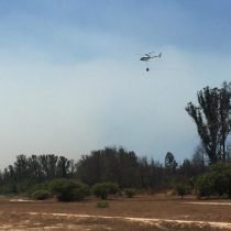 Refuerzan labores de combate al fuego tras rebrote de incendio en Quilpué cercano a Reserva Peñuelas