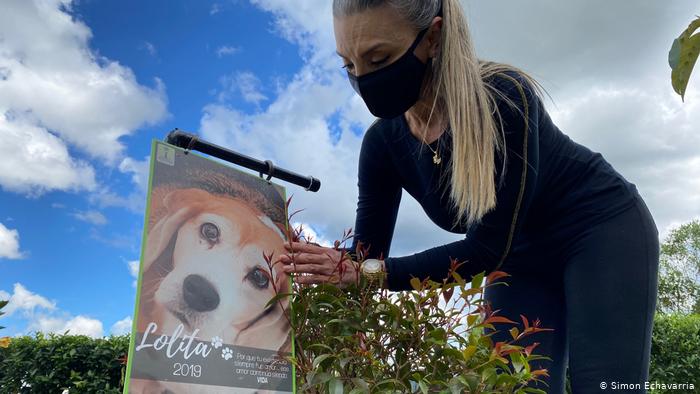 Compostaje de mascotas muertas para crear nueva vida en Colombia