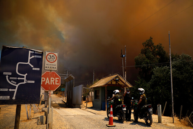 Incendio en Lago Peñuelas: Onemi decreta Alerta Roja y evacúan sectores de Quilpué