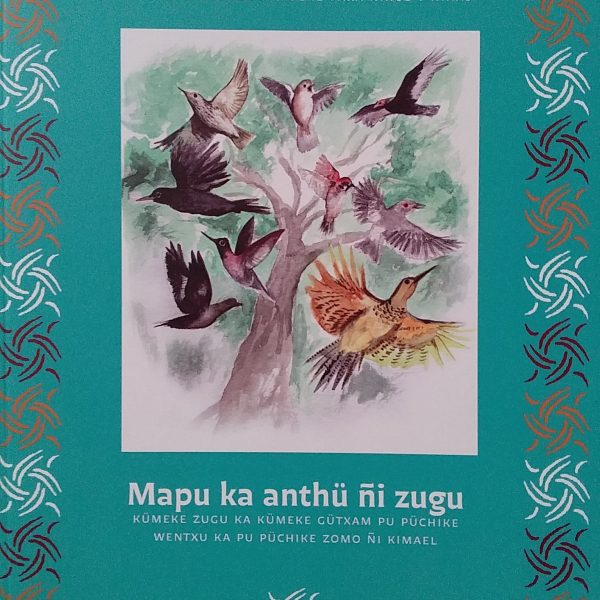 Lanzamiento de primera antología bilingüe de poemas y relatos mapuche para la infancia