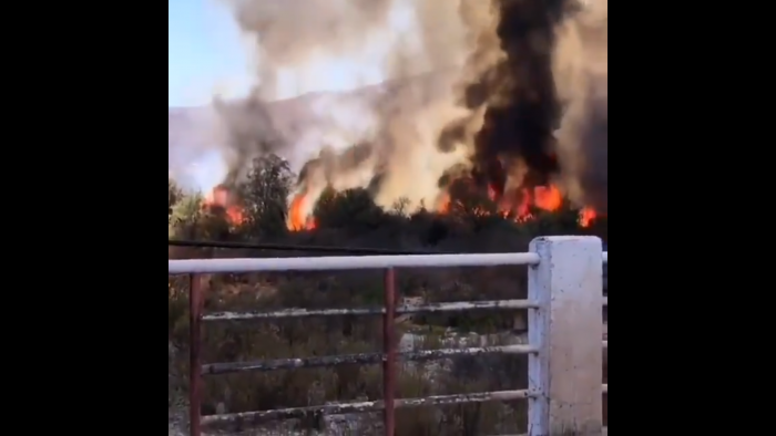 Incendio forestal en Monte Patria amenaza bencinera: autoridades declaran alerta roja para la comuna
