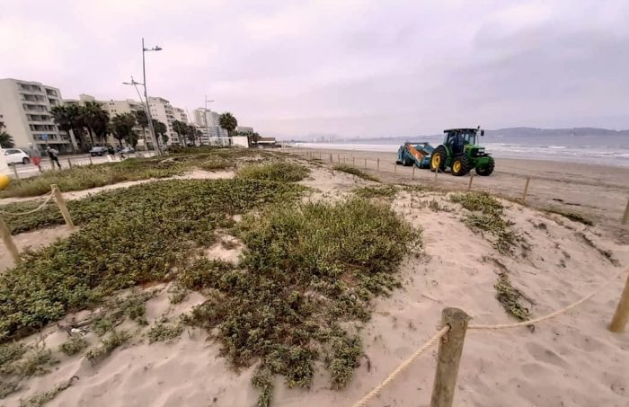 Empresarios turísticos se unen a proyecto para proteger dunas costeras de La Serena y Coquimbo Empresarios turísticos se unen a proyecto para proteger dunas costeras de La Serena y Coquimbo