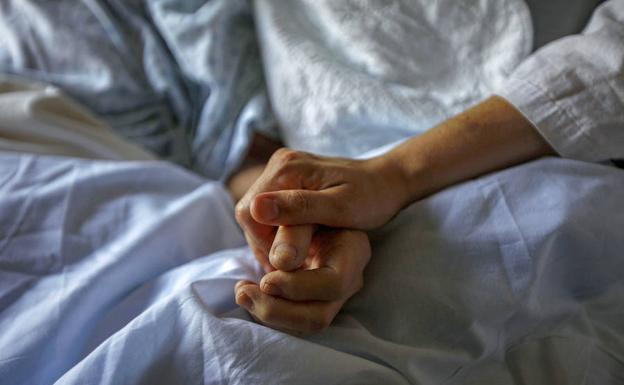 Comisión de Salud de la Cámara no despachó proyecto de eutanasia: Hubo indicaciones que no fueron votadas Comisión de Salud de la Cámara no despachó proyecto de eutanasia: Hubo indicaciones que no fueron votadas