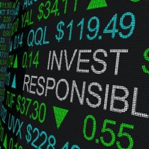 La importancia de los factores de sostenibilidad en la inversión responsable