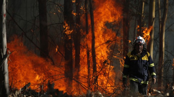 Intendencia del Biobío declara alerta roja para comuna de Nacimiento por incendio forestal