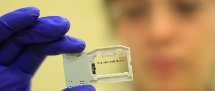 Científicos de U. Austral logran secuenciar genoma completo de nueva variante de SARS-CoV2 Científicos de U. Austral logran secuenciar genoma completo de nueva variante de SARS-CoV2