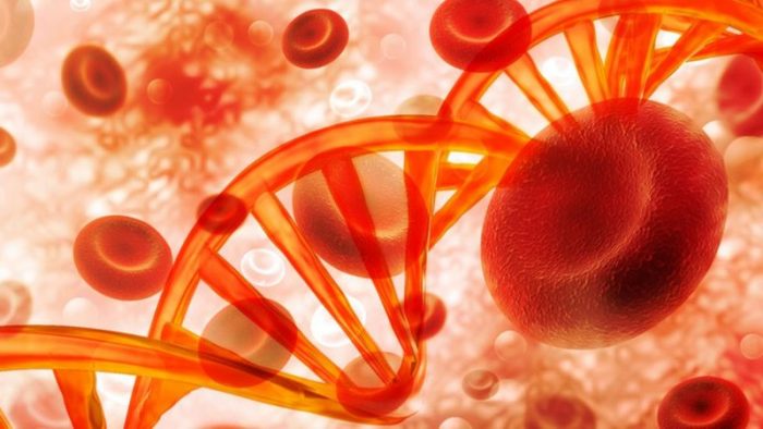 La mutación genética que provoca colesterol alto y es una de las enfermedades hereditarias más comunes en el mundo La mutación genética que provoca colesterol alto y es una de las enfermedades hereditarias más comunes en el mundo
