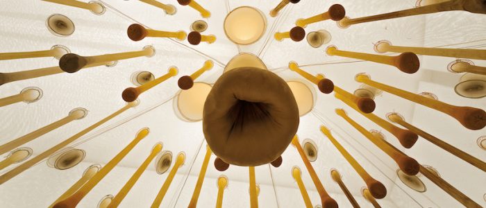 «Soplo»: Retrospectiva del artista brasileño Ernesto Neto en Centro Cultural La Moneda «Soplo»: Retrospectiva del artista brasileño Ernesto Neto en Centro Cultural La Moneda
