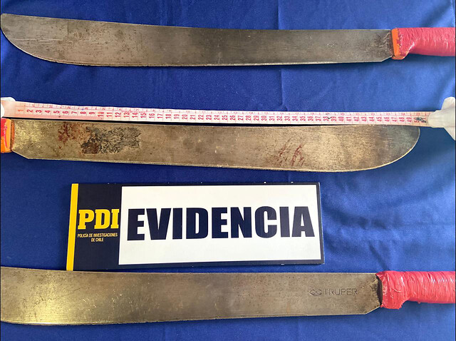 Caso Francisco Martínez: hermana entregó a la PDI machetes usados por malabarista muerto en Panguipulli
