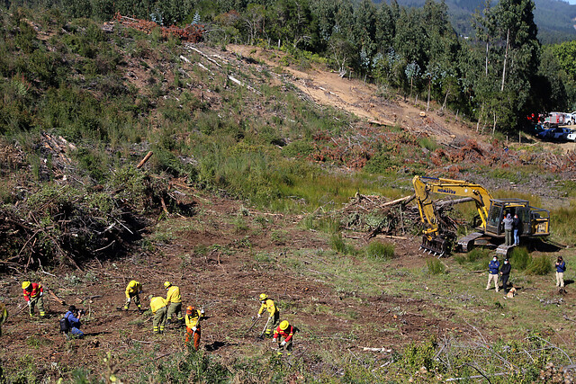 Fiscal a cargo de búsqueda del pequeño Tomás afirma que masiva concurrencia de personas «ha destruido sitio del suceso» Fiscal a cargo de búsqueda del pequeño Tomás afirma que masiva concurrencia de personas
