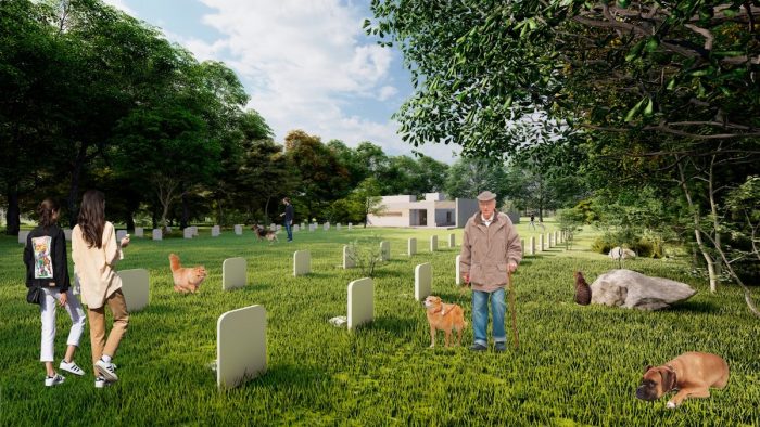 Buscan agilizar proyecto que crea cementerio público de mascotas en la Región de Valparaíso Buscan agilizar proyecto que crea cementerio público de mascotas en la Región de Valparaíso