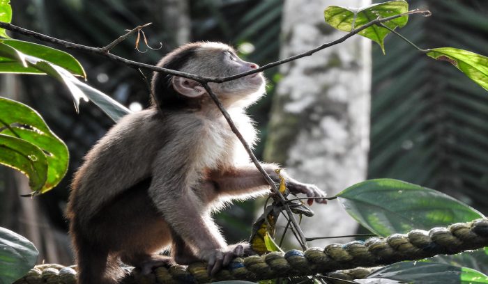 Colombia estrena su primera guía para el turismo de naturaleza Colombia estrena su primera guía para el turismo de naturaleza