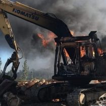 Se registra nuevo ataque incendiario que afectó a faena forestal en Cañete