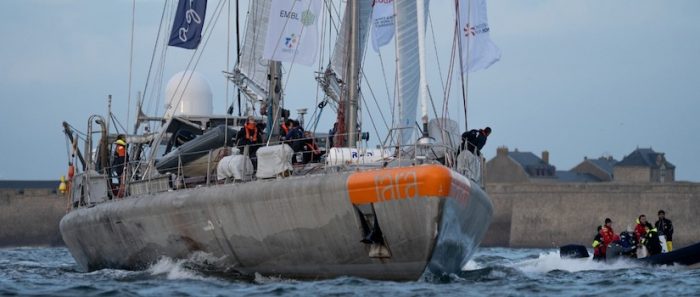 El velero científico TARA zarpa de Francia para investigar el microbioma marino en la costa de Chile El velero científico TARA zarpa de Francia para investigar el microbioma marino en la costa de Chile