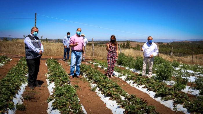 Comunidad Indígena implementa sistema de riego a través de paneles solares Comunidad Indígena implementa sistema de riego a través de paneles solares