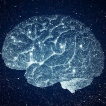 Cerebro y universo: ¿evolucionan de la misma forma?