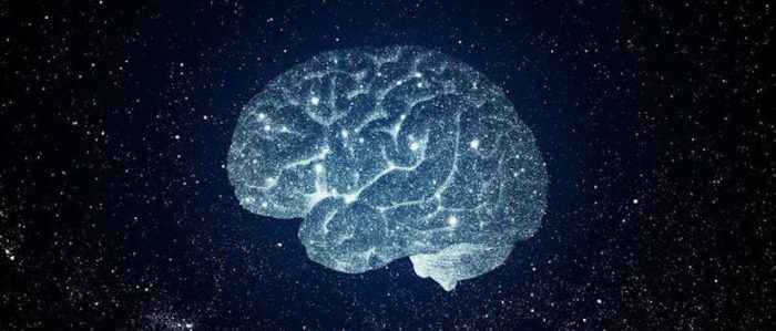 Cerebro y universo: ¿evolucionan de la misma forma? Cerebro y universo: ¿evolucionan de la misma forma?