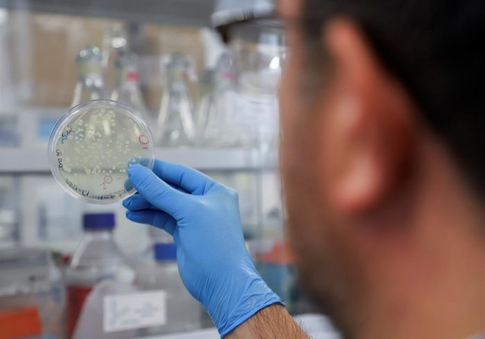 Investigadores descubren una posible nueva variante de la covid-19 en Bélgica Investigadores descubren una posible nueva variante de la covid-19 en Bélgica