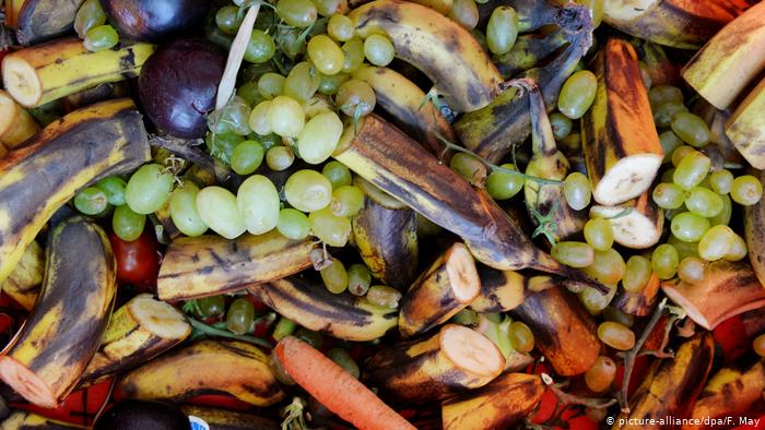 ONU: el 17 % de los alimentos termina en la basura ONU: el 17 % de los alimentos termina en la basura