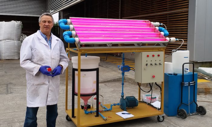 Tecnología en base a radiación solar permite purificar casi en un 100% aguas contaminadas en zonas rurales Tecnología en base a radiación solar permite purificar casi en un 100% aguas contaminadas en zonas rurales