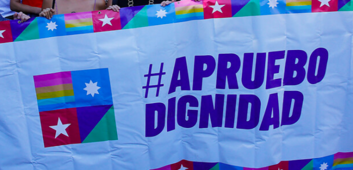 Apruebo Dignidad y la posibilidad de un proyecto socialdemócrata